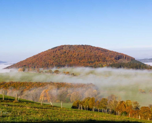 Morgennebel umgibt den Wilzenberg