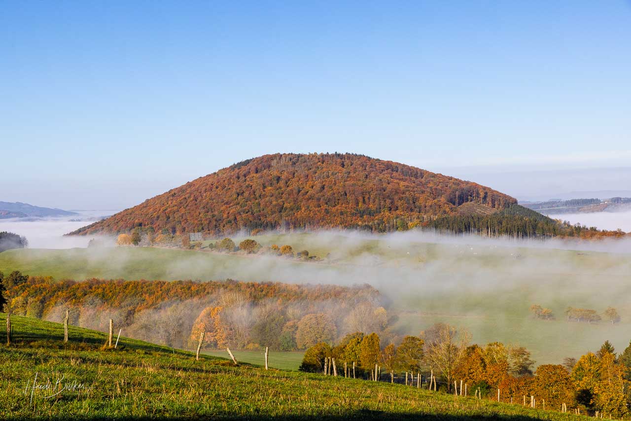 Morgennebel umgibt den Wilzenberg