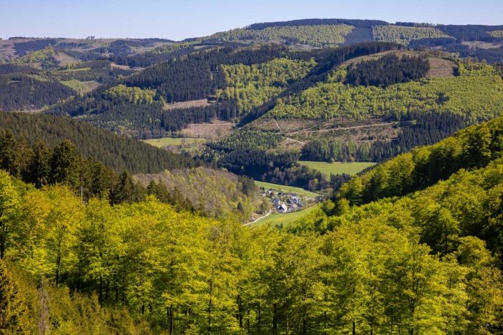 Blick auf Hundesossen