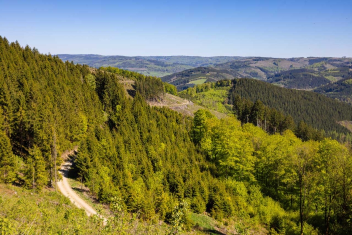 Aussicht vom Auergang