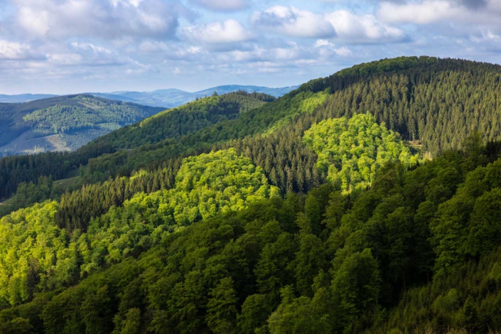 Aussicht vom Auergang
