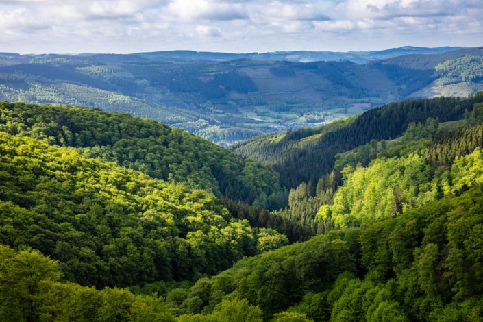 Blick auf Saalhausen