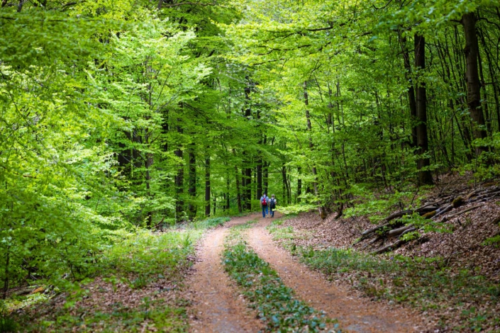 Schlümperbrüche Schanze