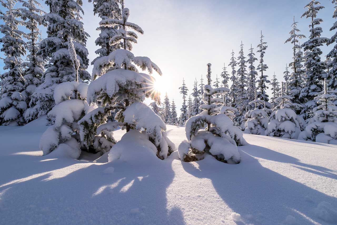 Winterzauber im Rothaargebirge – Verschneite Hochlagen und frostige Details am Kahlen Asten