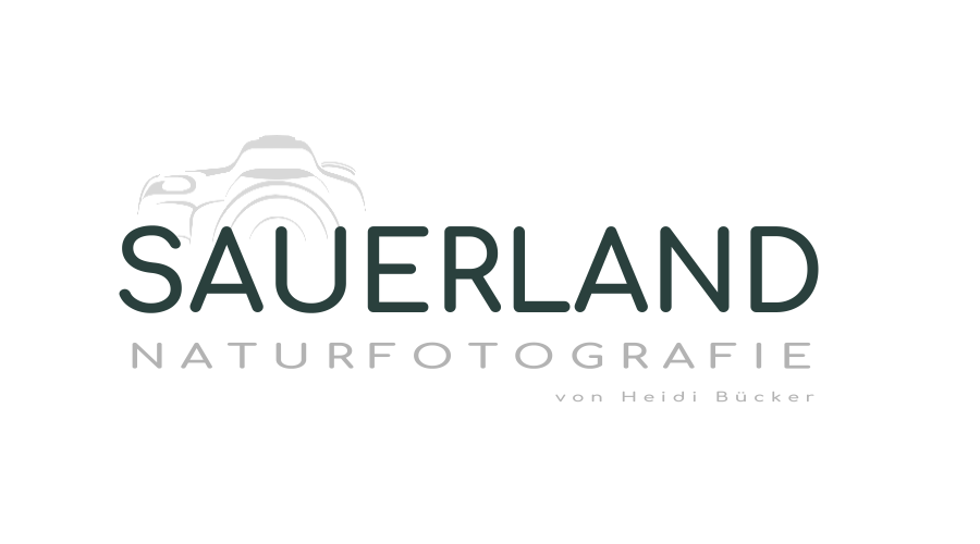 Sauerland Naturfotografie von Heidi Bücker