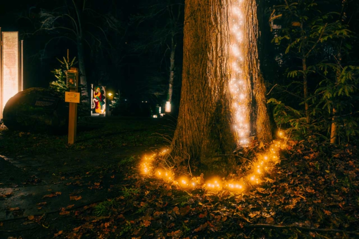 Weihnachtsstadt Schmallenberg 2025 – 75