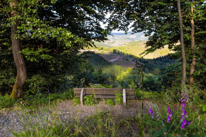 Sommerlicher Blick ins Rauchloch
