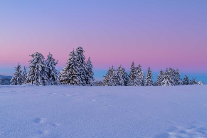 Winterliche Morgenstimmung auf dem Kahlen Asten 1