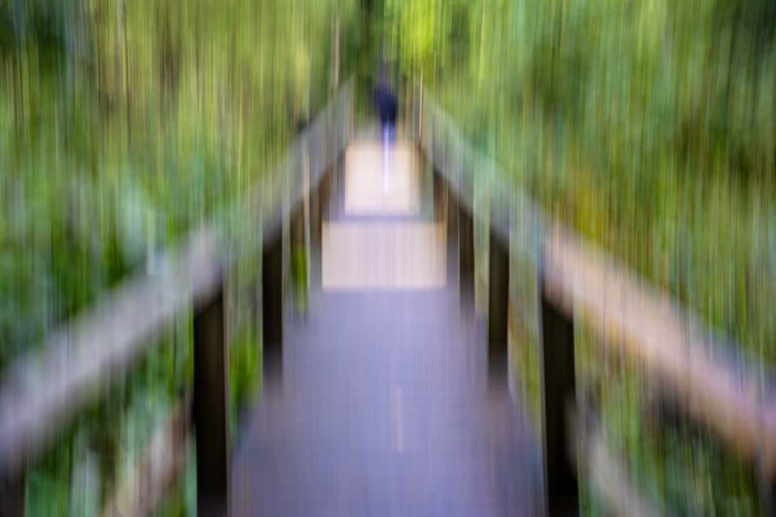 Brückenpfad Renautal