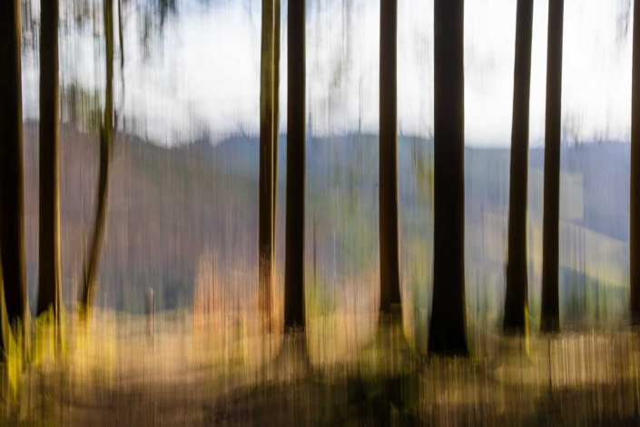 Wanderer im Buchenwald – ICM und Doppelbelichtung 2