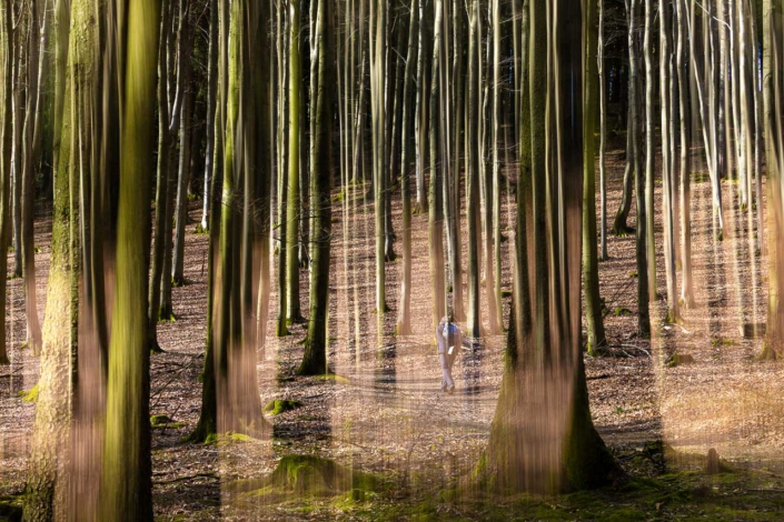 Wanderer im Buchenwald – ICM und Doppelbelichtung 2