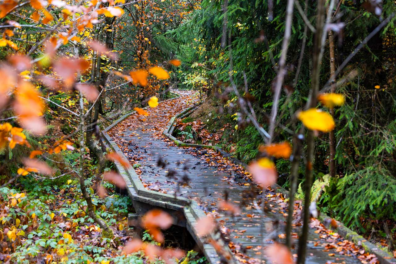 Barrierefreier Holzsteg
