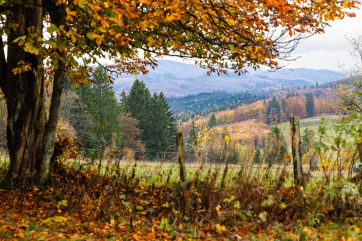 Aussicht von Schanze