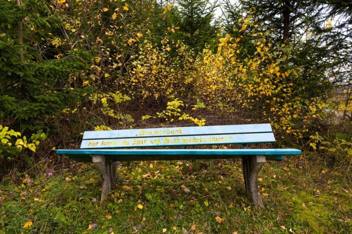 Baumelbank, oberhalb von Selkentrop