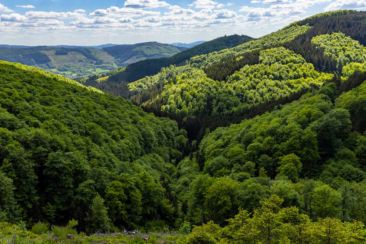 Aussicht im Frühjahr