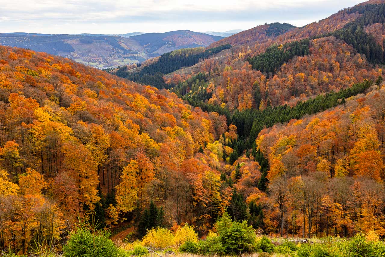 Bunte Aussicht bis Saalhausen