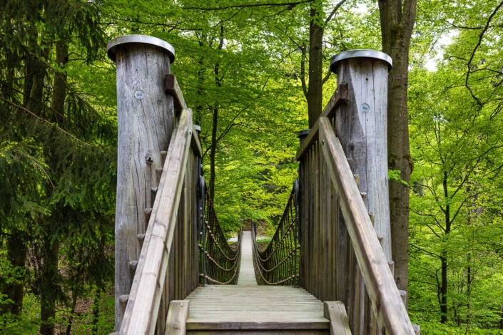 Hängebrücke im Frühjahr