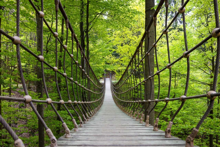 Hängebrücke Frühjahr