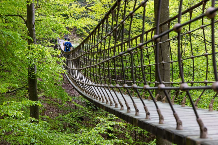 Hängebrücke Frühjahr