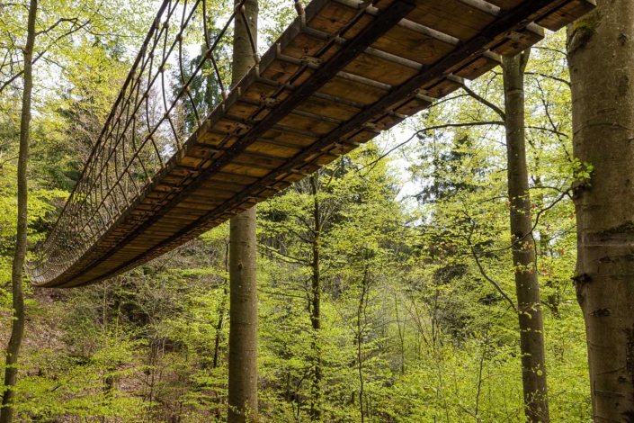 Hängebrücke Frühjahr