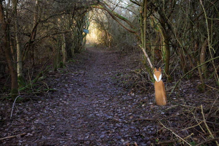 Fuchsbauschleichweg
