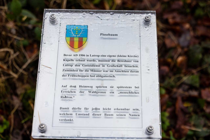 Woher der Pissebaum seinen Namen hat…