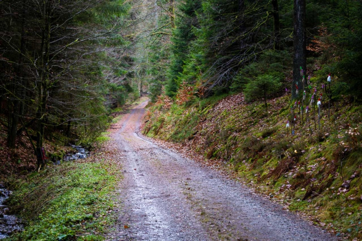 Grafschafter Weihnachtsweg