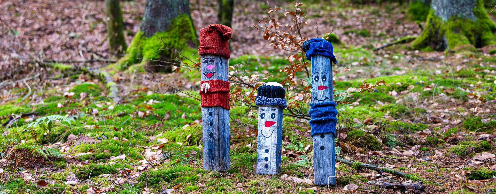 Grafschafter Weihnachtsweg