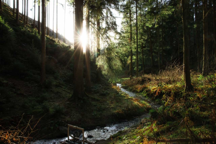 Kleines Wasserrad im Hardtsiepen