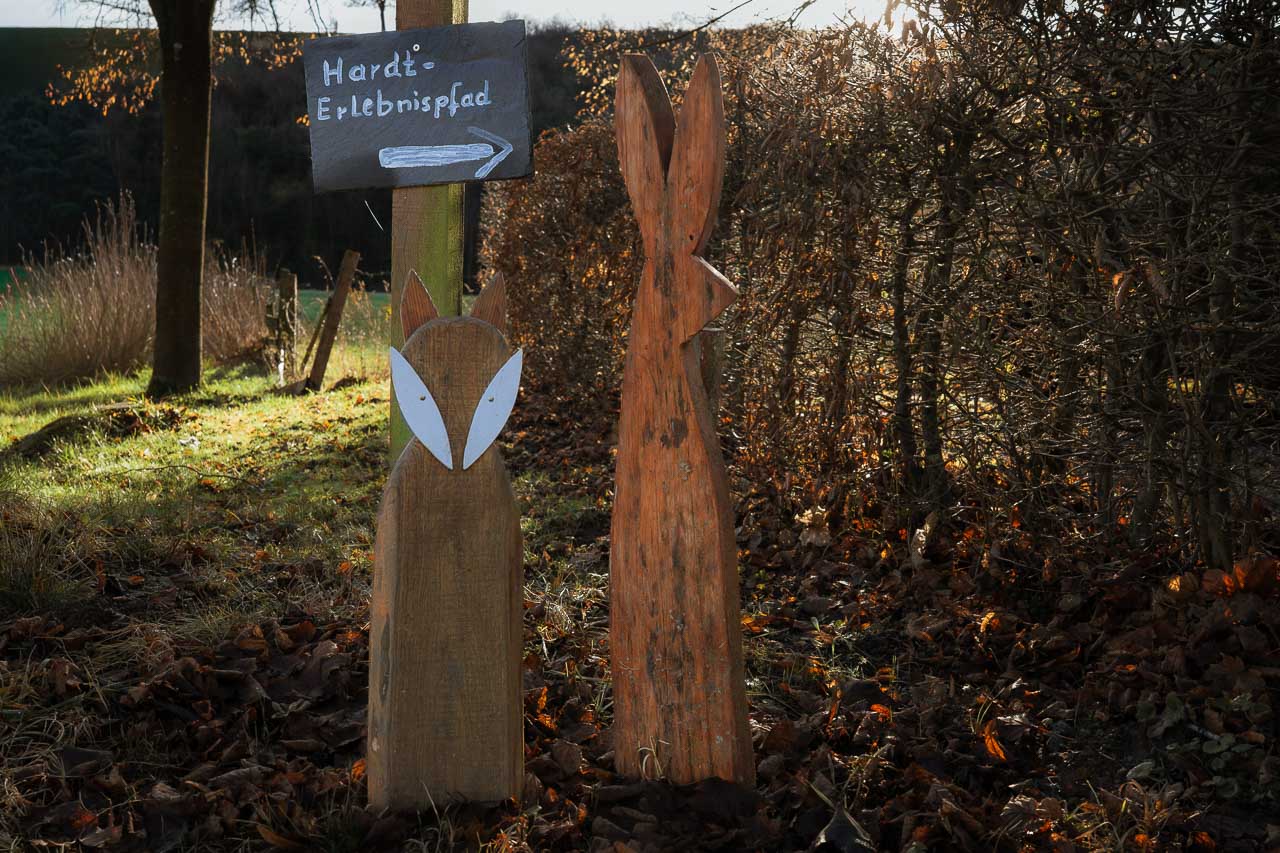 Wo sich Fuchs und Hase gute Nacht sagen