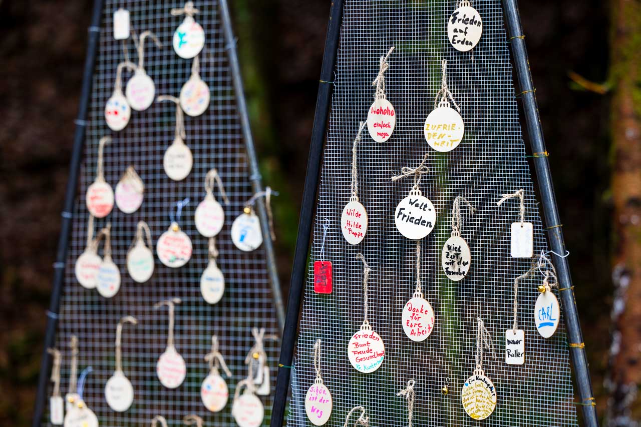 Wünsche am Wünschebaum