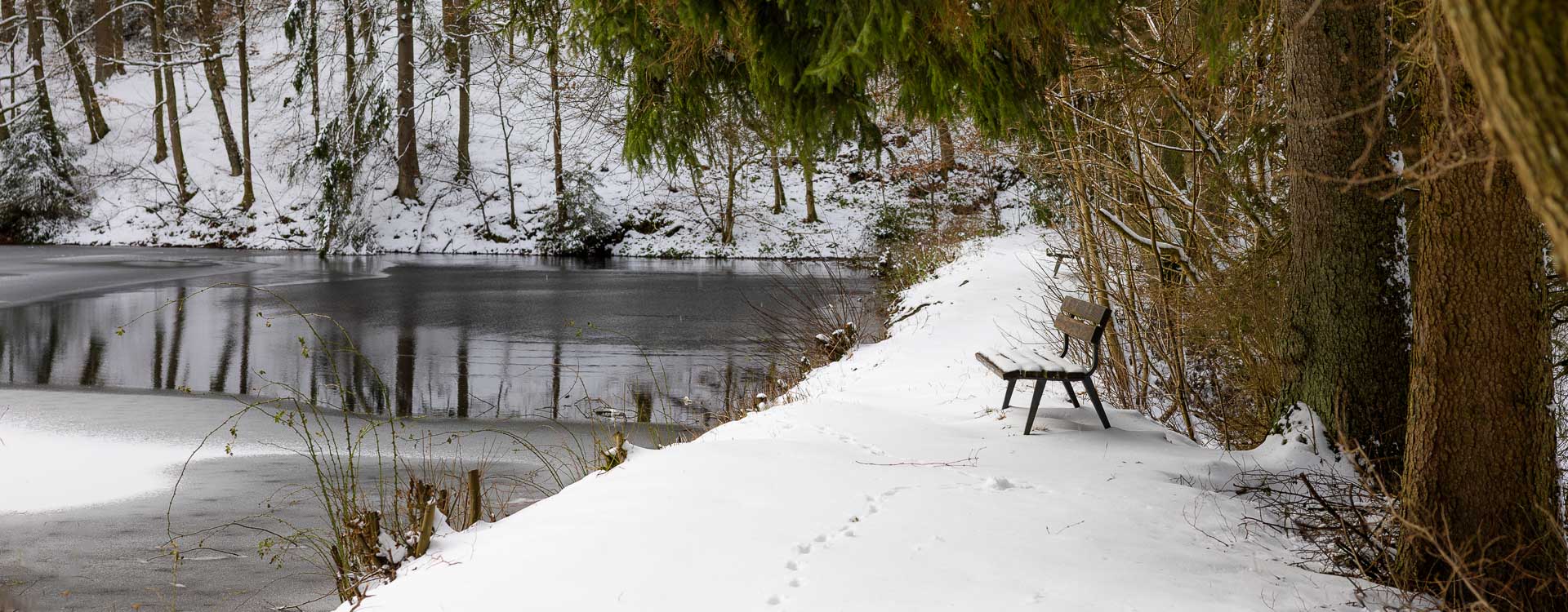 Mühlenteich-Weg Grafschaft
