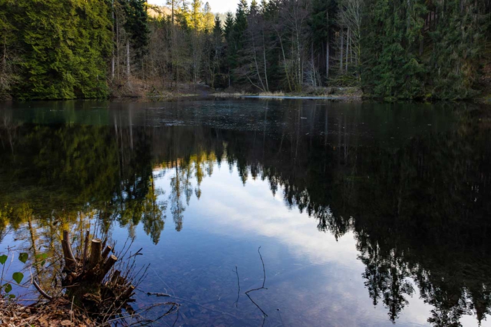Mühlenteich ohne Schnee und Eis