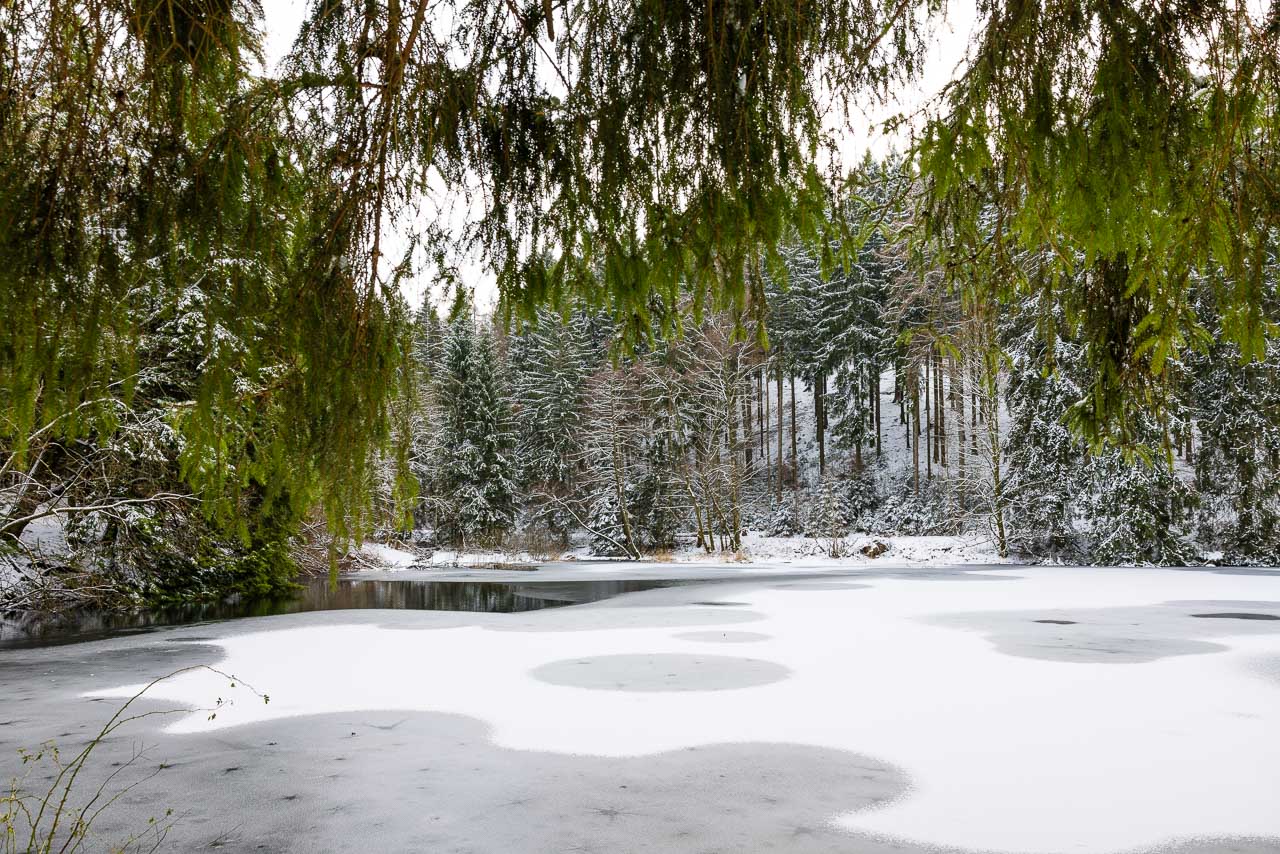 Mühlenteich bei Grafschaft Gefrorener Mühlenteich in Schmallenberg-Grafschaft