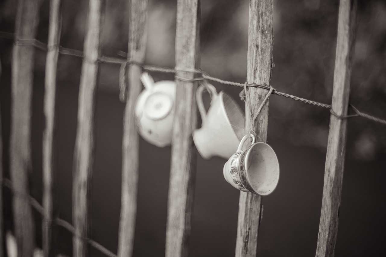 Tassen am Staketenzaun