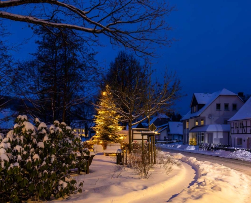 Weihnachtsbaum am Himmelreichsplatz