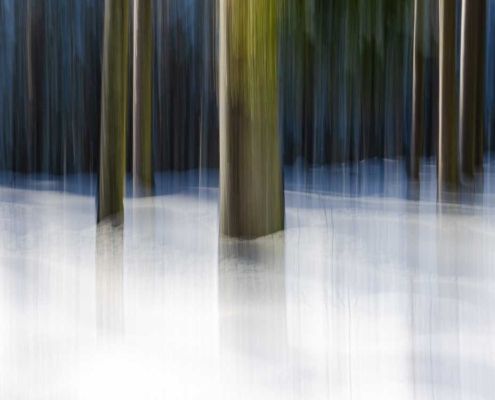 Abstrakte ICM-Fotografie eines Winterwaldes mit vertikal verschwommenen Baumstämmen und blauen Schattenwellen im sonnigen Schnee.