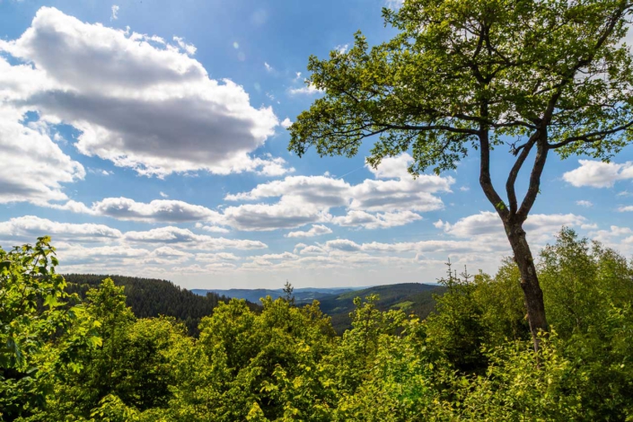 Aussicht vom Alpenhaus