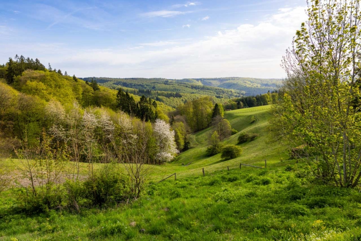 Aussicht von Schanze