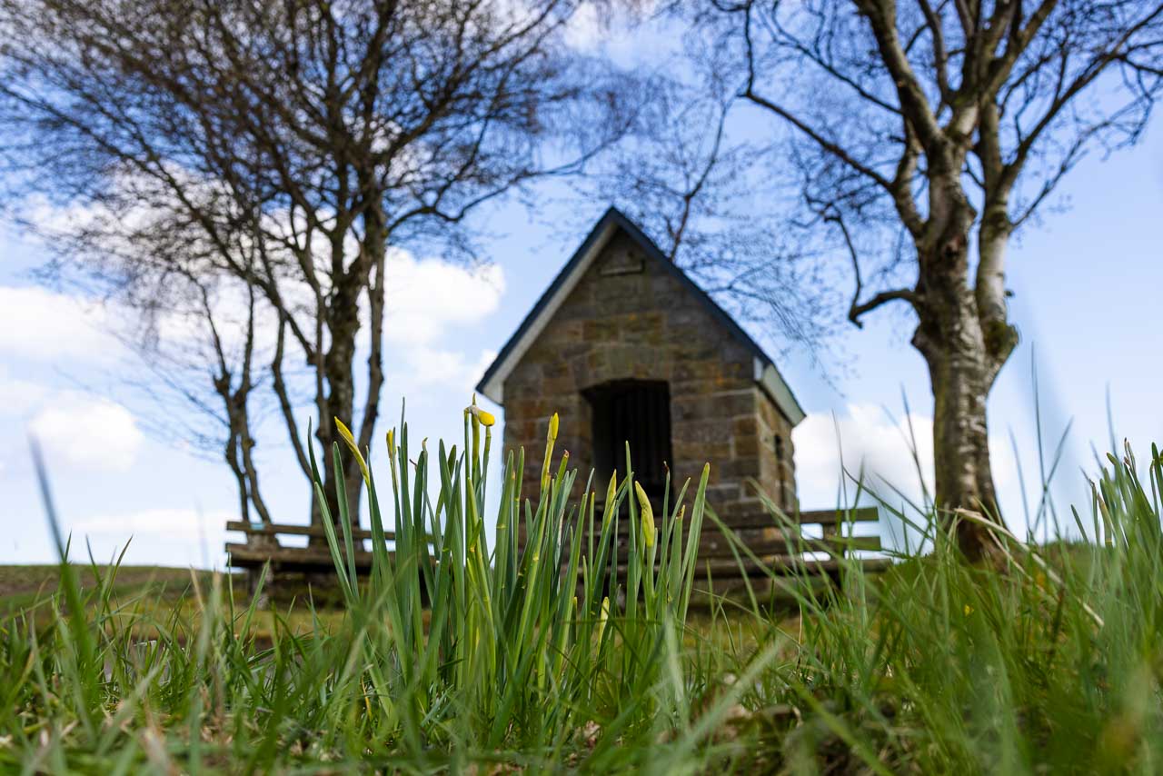 Bildstock St. Wendelin auf dem Herhagen