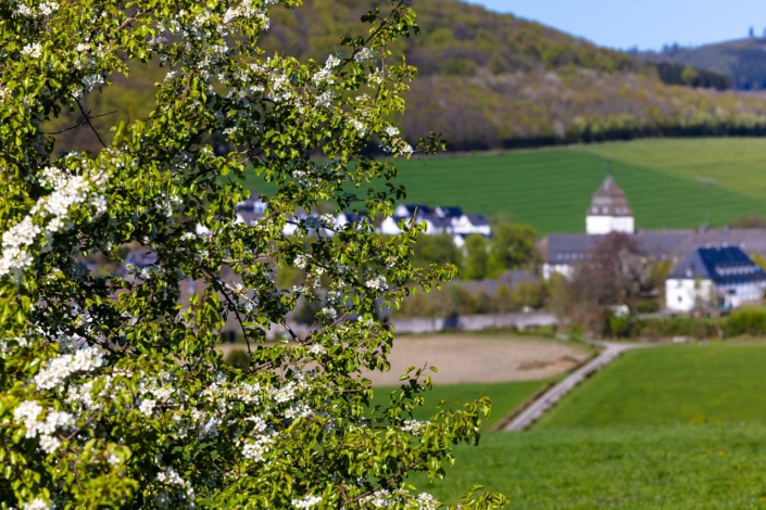 Frühling in Grafschaft