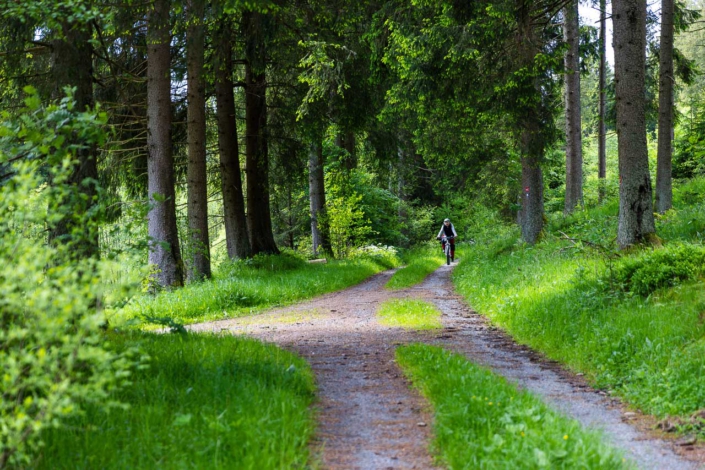 Rothaarsteig im NSG Schwarzbachtal