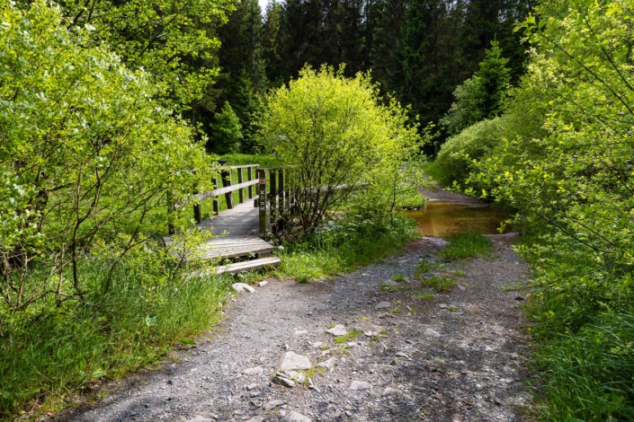 Rothaarsteig im NSG Schwarzbachtal