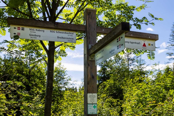 NSG Schwarzbachtal_12