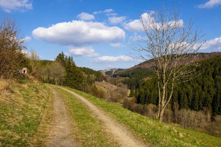 Rundweg mit Blick auf Altastenberg