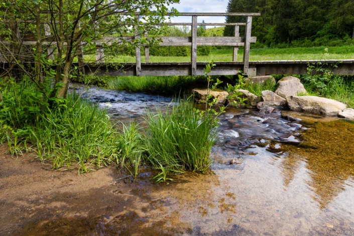 Rothaarsteig im Schwarzbachtal