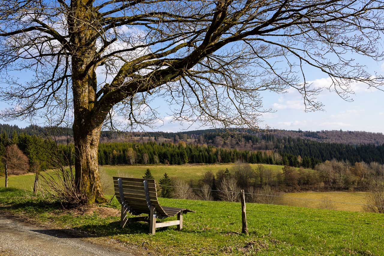 Waldsofa in Nesselbach Waldsofa in Nesselbach mit Blick ins Tal