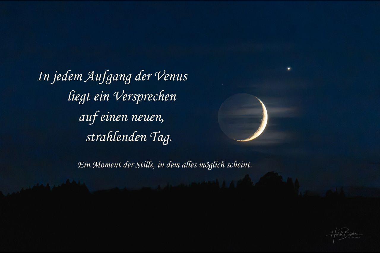 In jedem Aufgang der Venus...