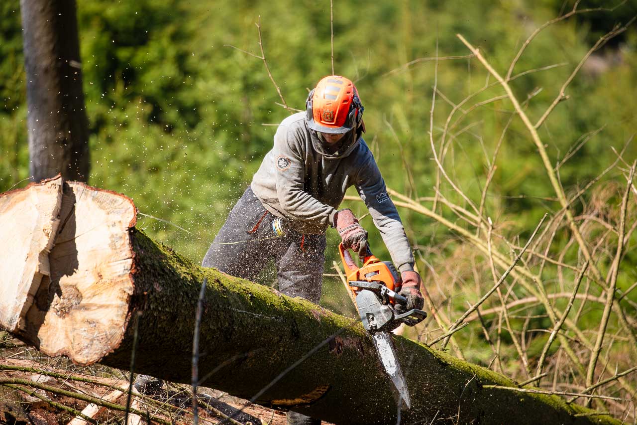 Holzfäller