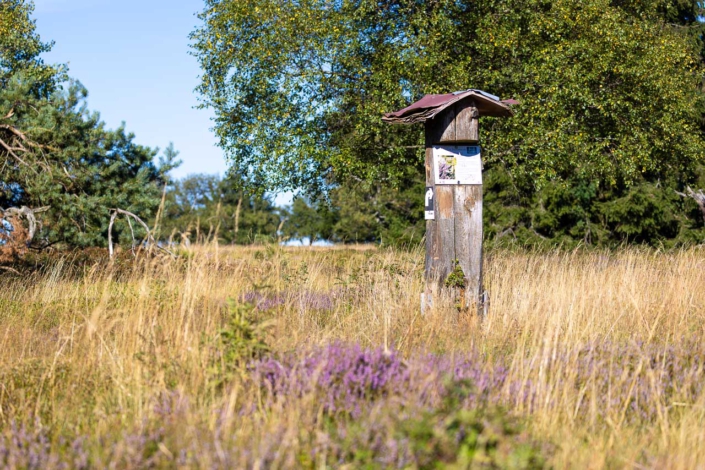 Astenheide